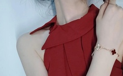 不用播放器的h网